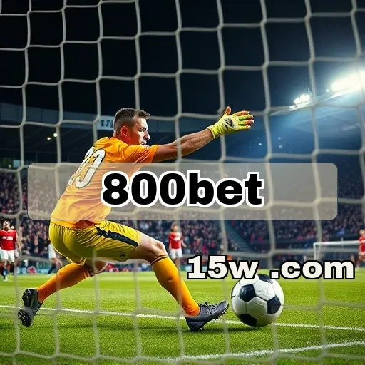 800bet e seu Programa VIP: benefícios que você precisa conhecer!